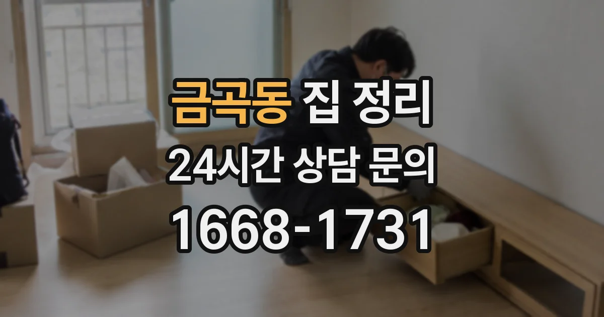 금곡동 집 정리