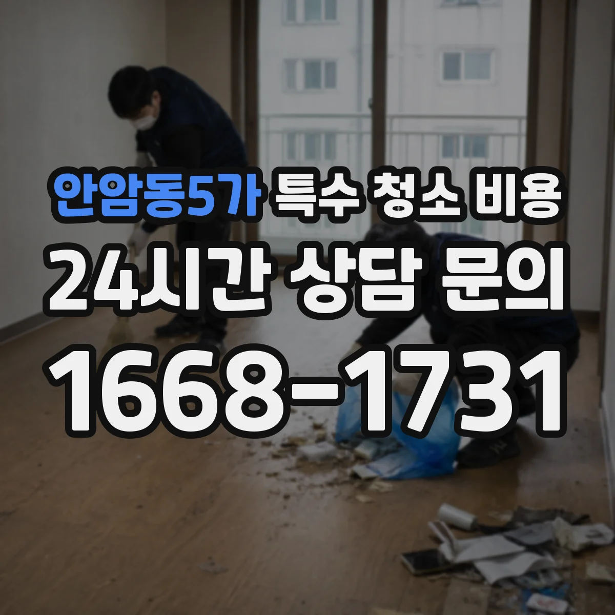안암동5가 특수 청소 비용