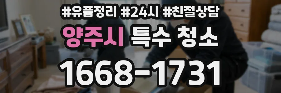 양주시 특수 청소