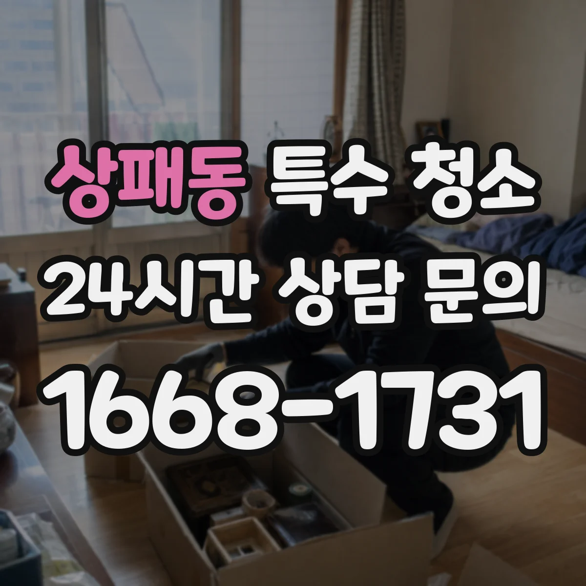 상패동 특수 청소