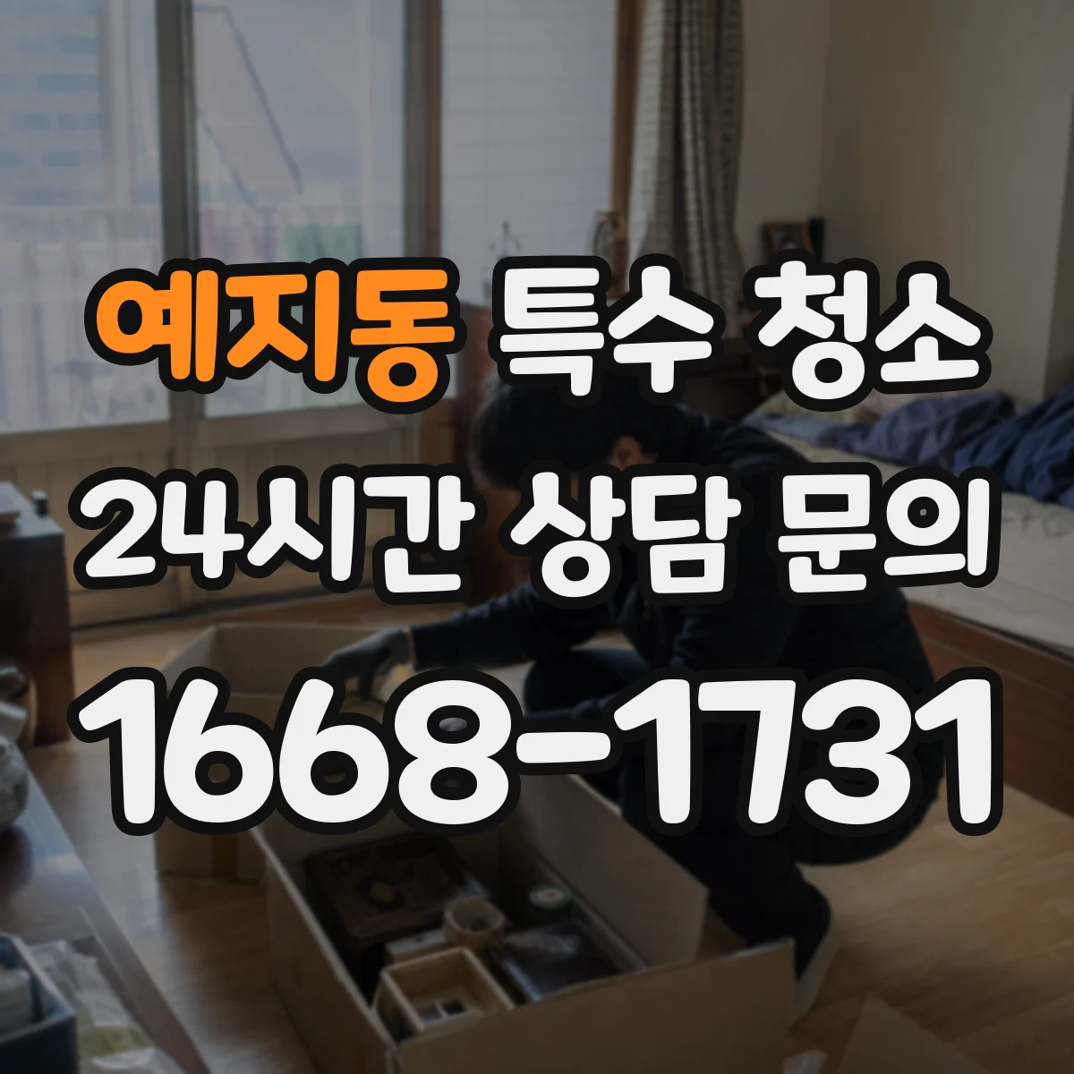 예지동 특수 청소