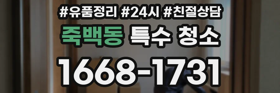 죽백동 특수 청소