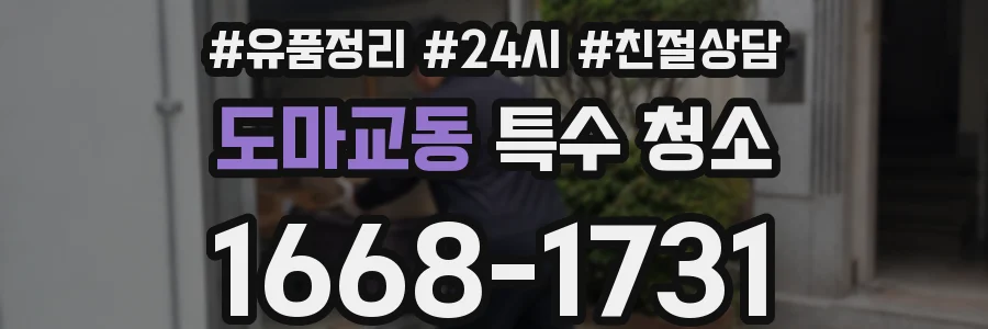 도마교동 특수 청소