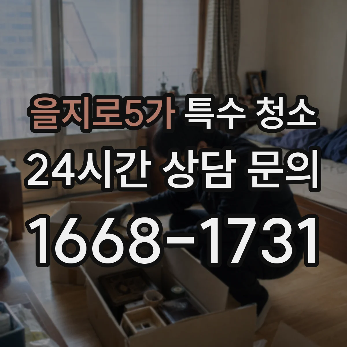 을지로5가 특수 청소