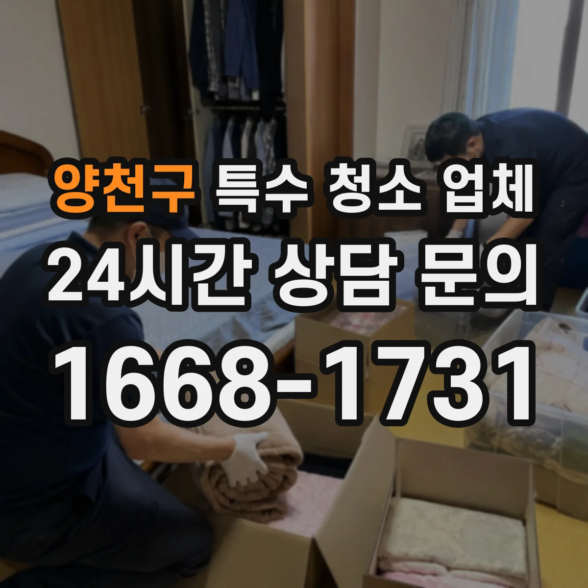 양천구 특수 청소 업체 청소 후 검수 기준과 기록 방식