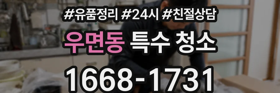 우면동 특수 청소