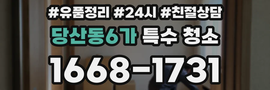 당산동6가 특수 청소