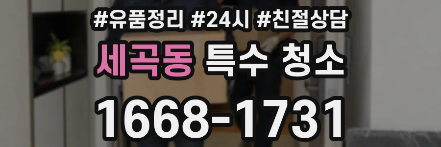 세곡동 특수 청소