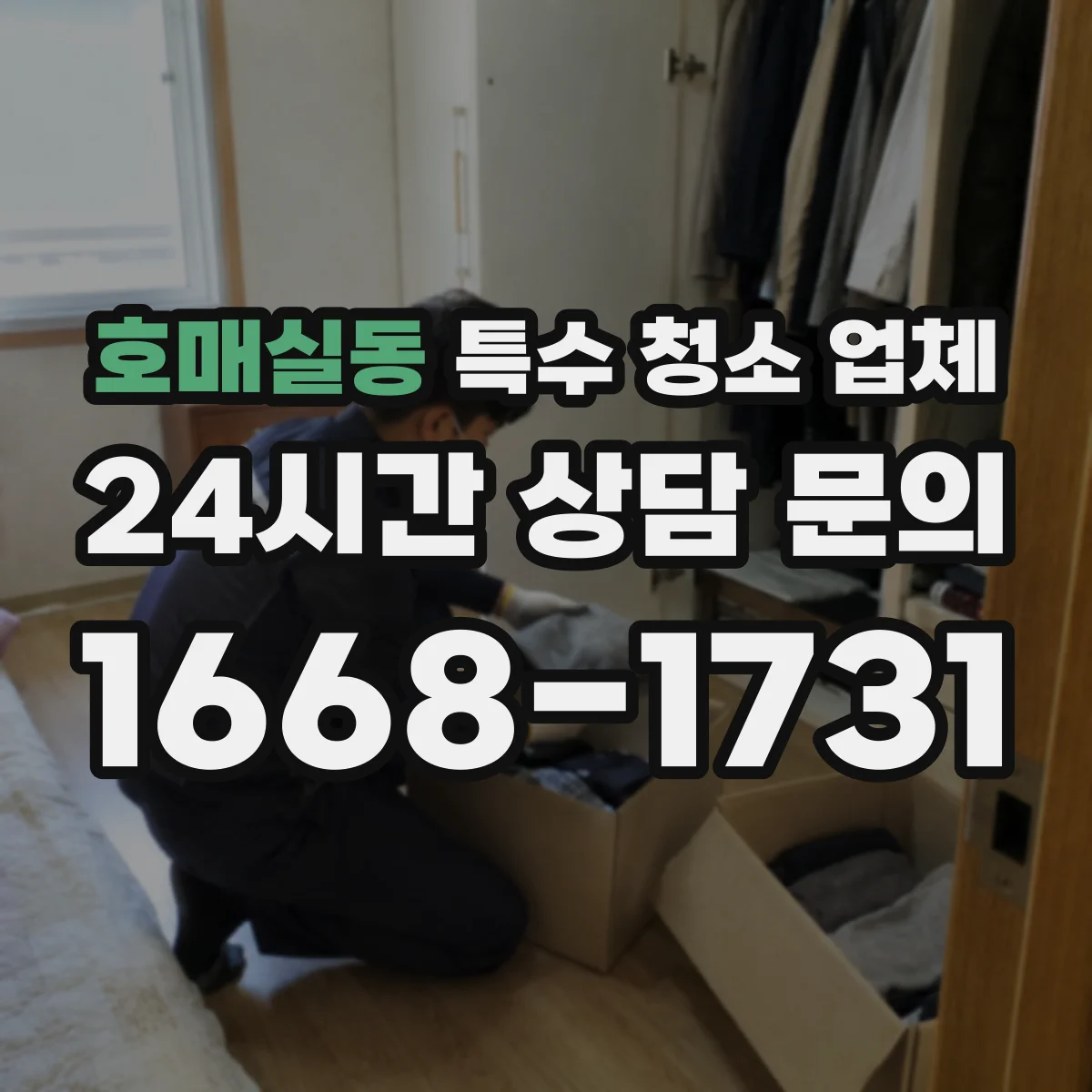 호매실동 특수 청소 업체
