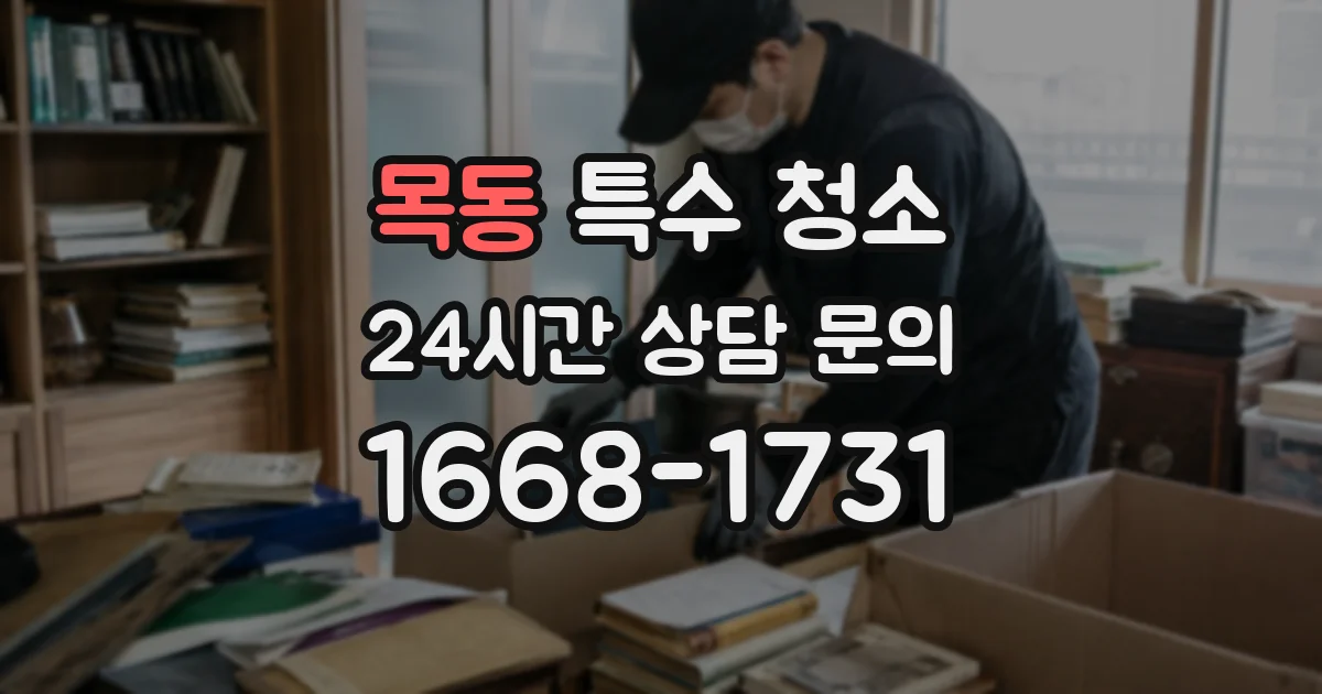 목동 특수 청소
