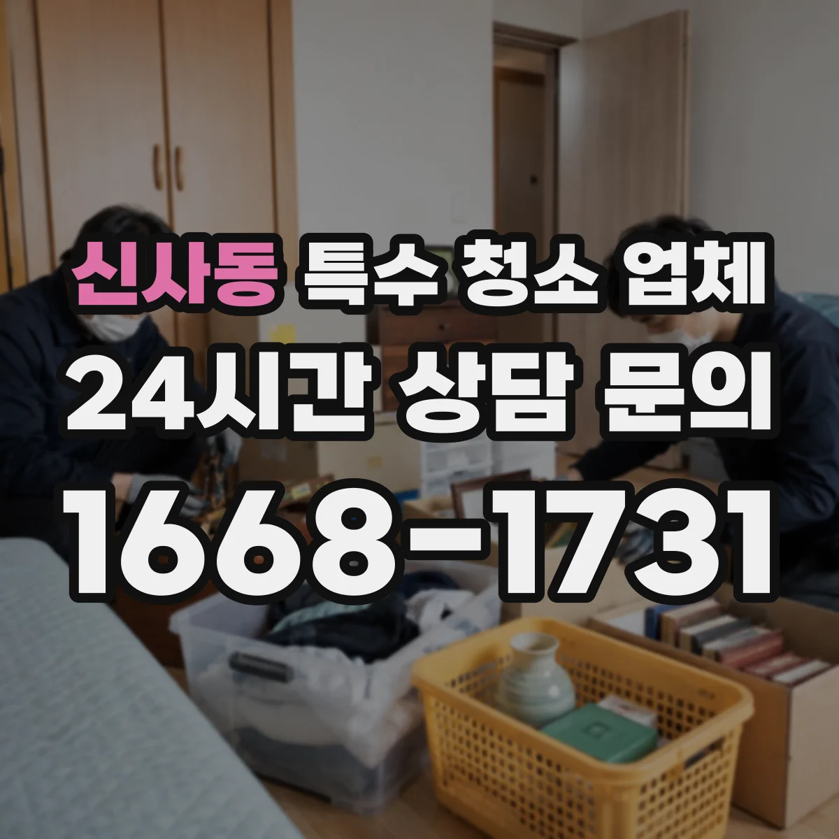 신사동 특수 청소 업체