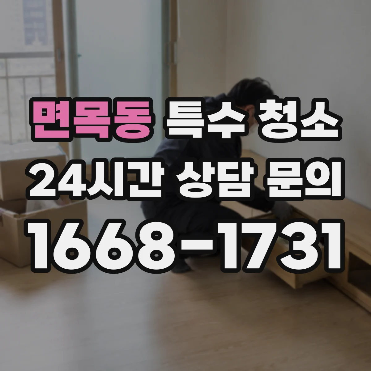면목동 특수 청소