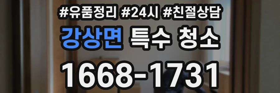 강상면 특수 청소