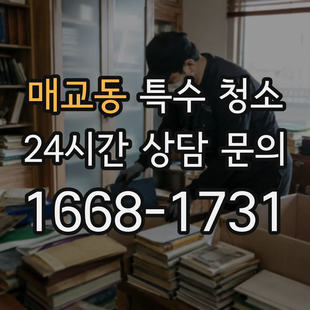 매교동 특수 청소