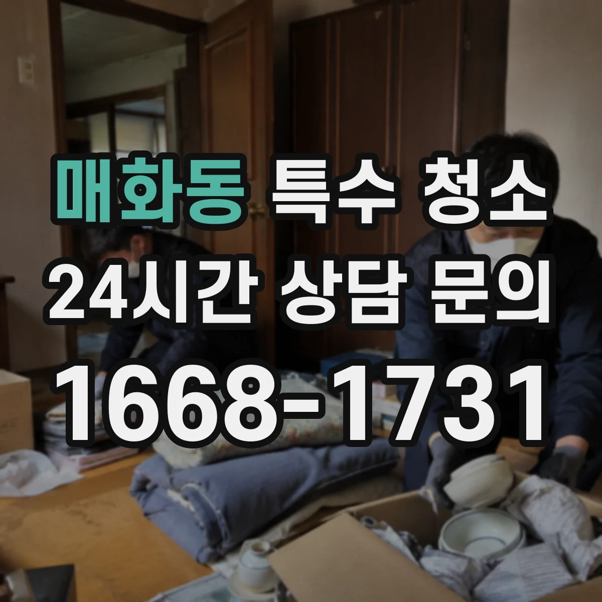 매화동 특수 청소