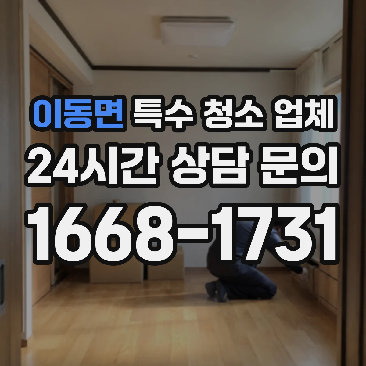 이동면 특수 청소 업체