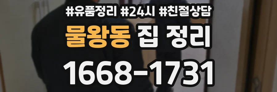 물왕동 집 정리