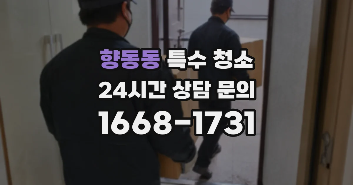 향동동 특수 청소