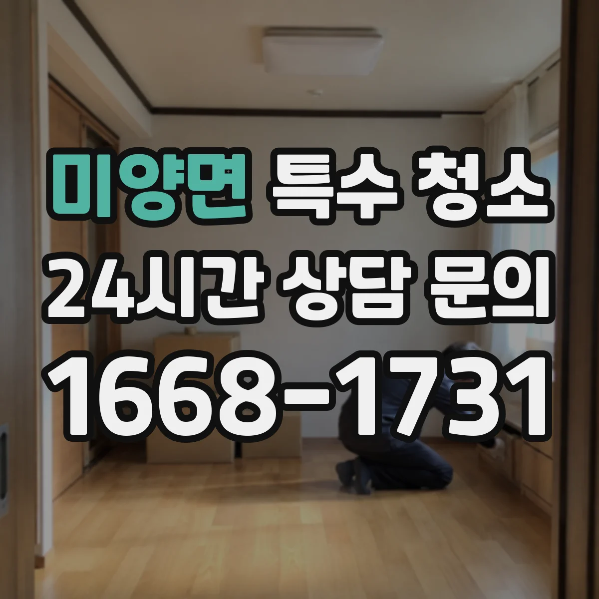 미양면 특수 청소