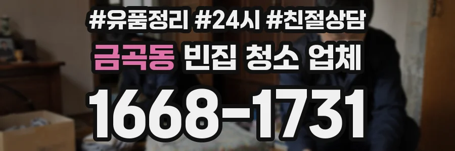 금곡동 빈집 청소 업체