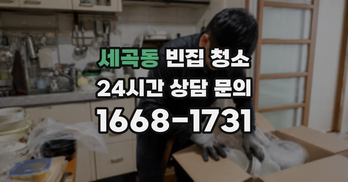 세곡동 빈집 청소