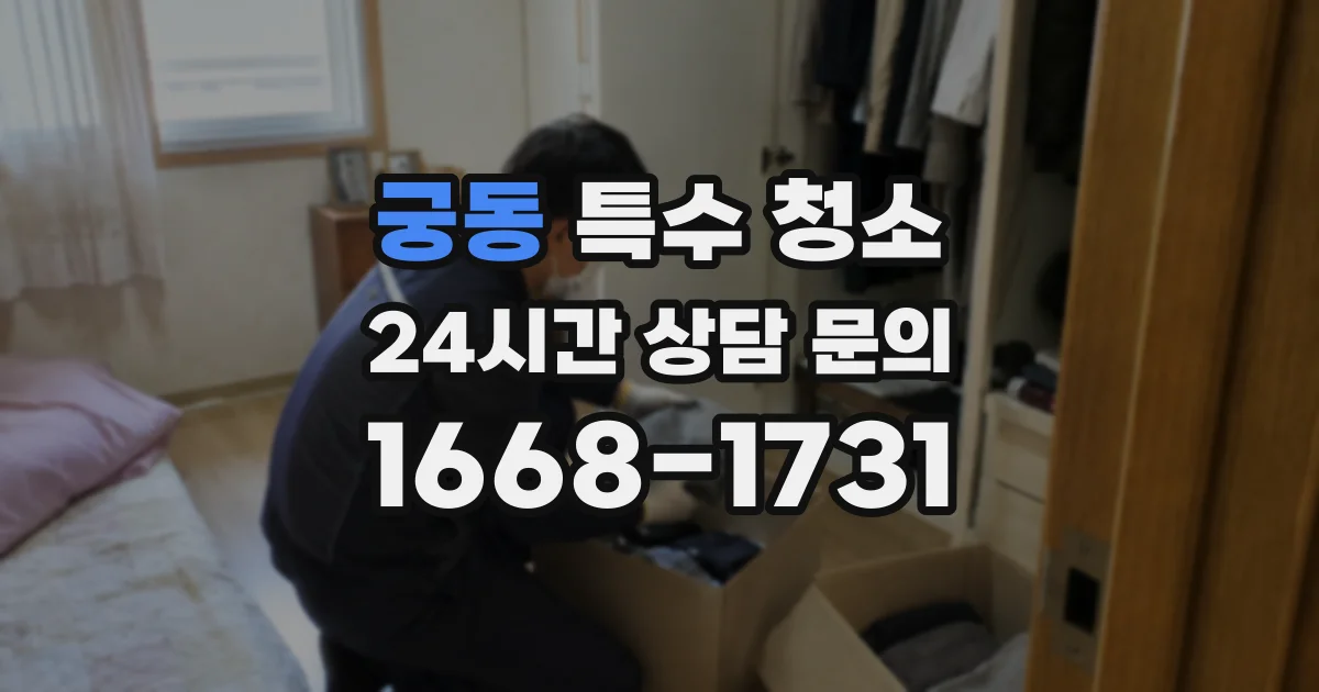궁동 특수 청소