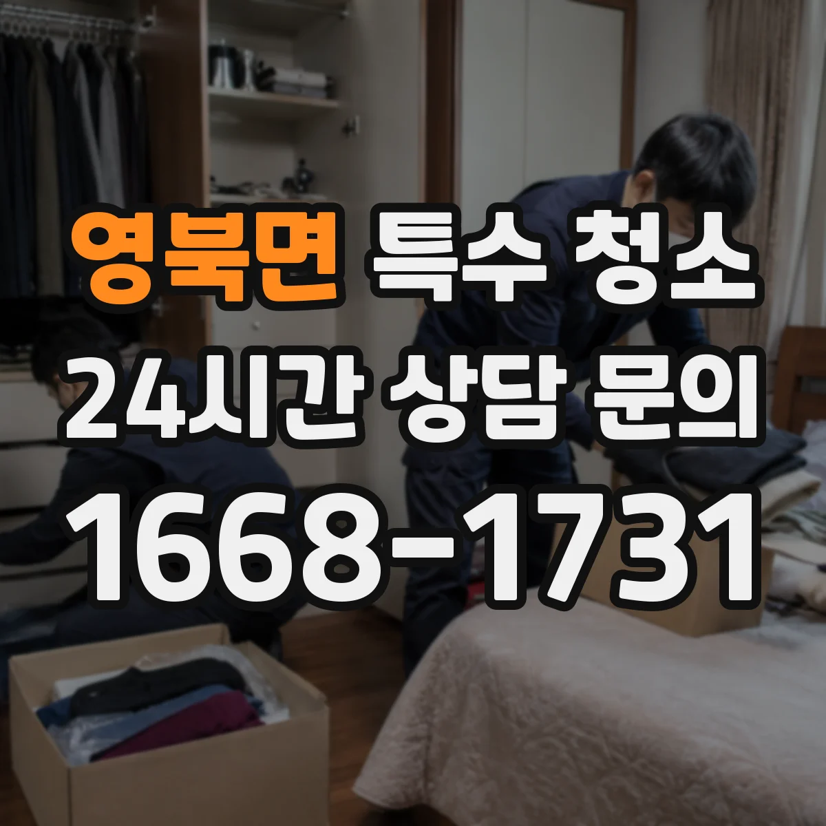 영북면 특수 청소