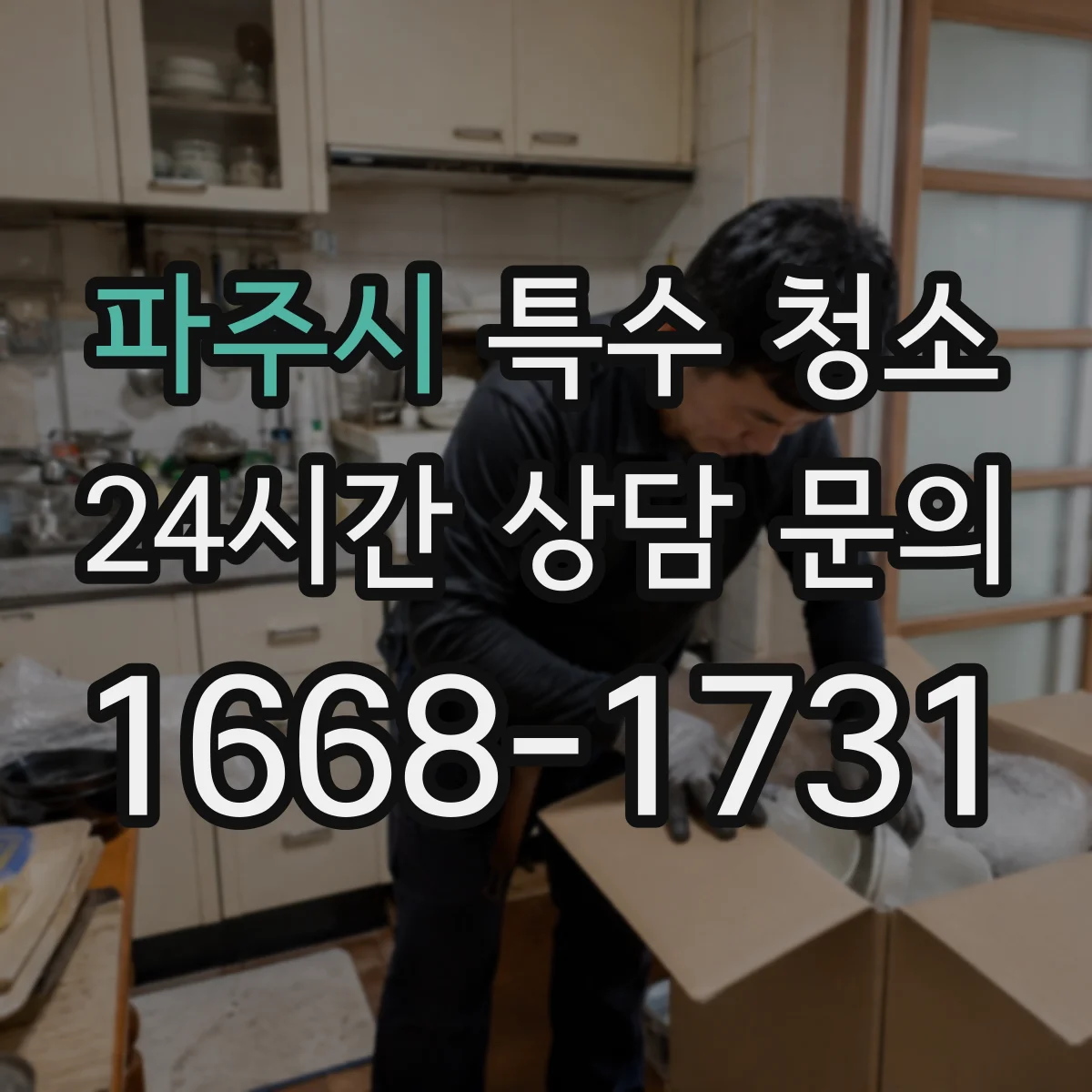 파주시 특수 청소