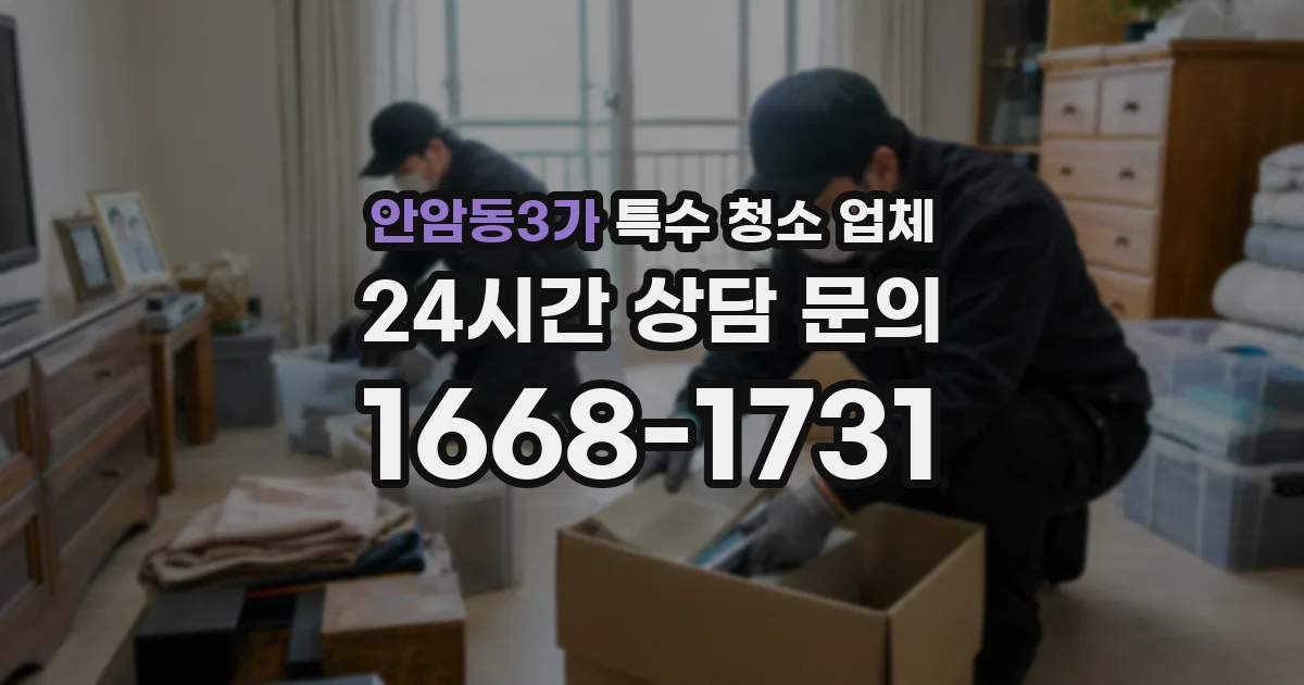 안암동3가 특수 청소 업체