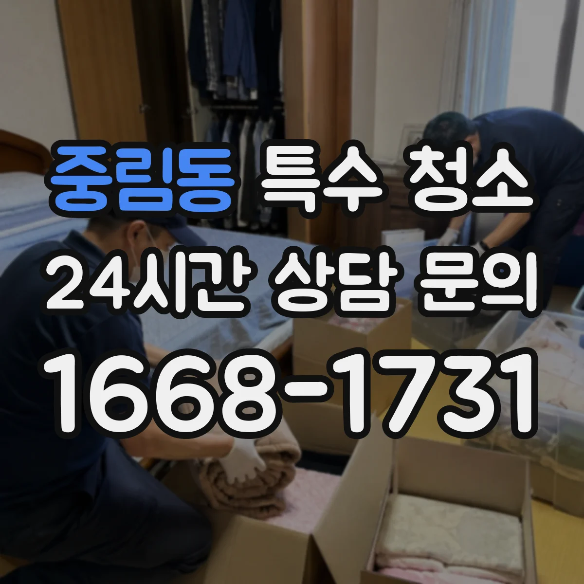 중림동 특수 청소