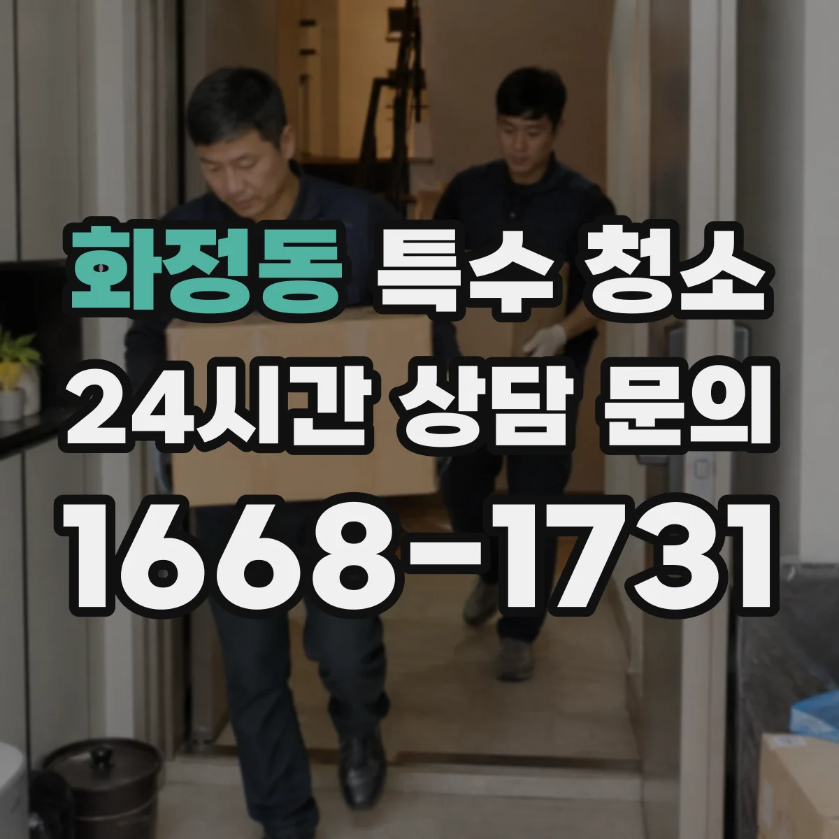 화정동 특수 청소