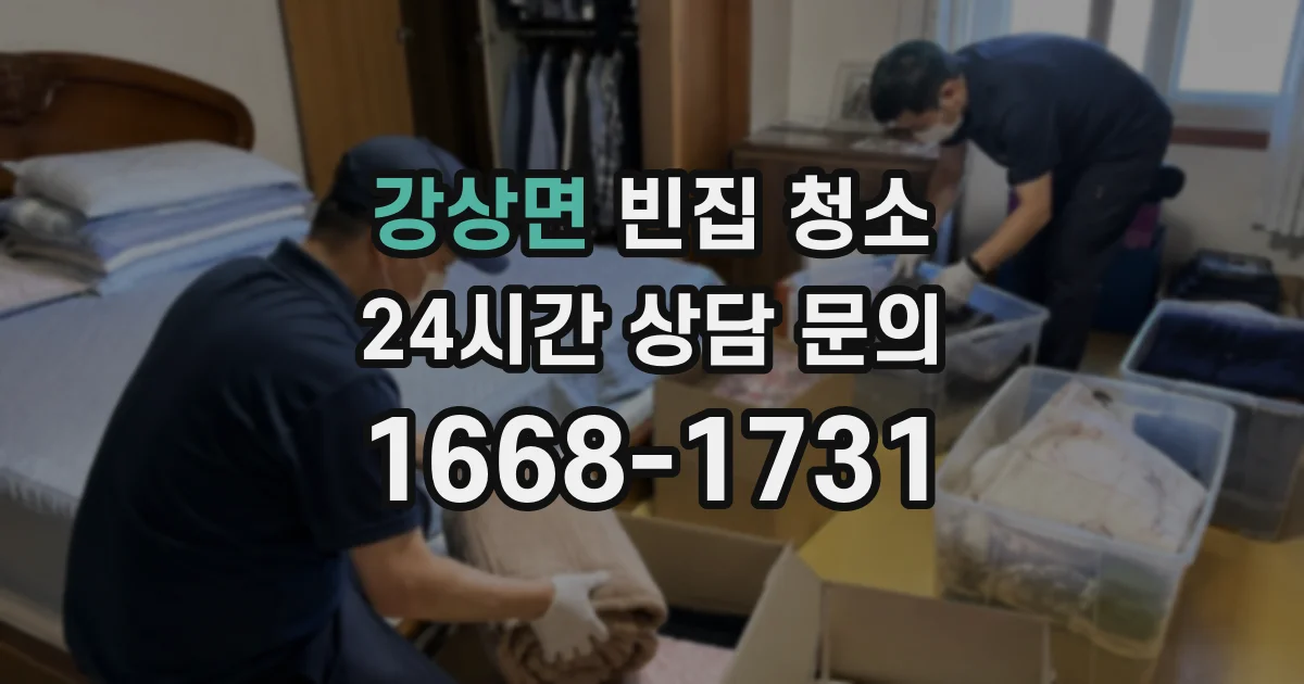 강상면 빈집 청소