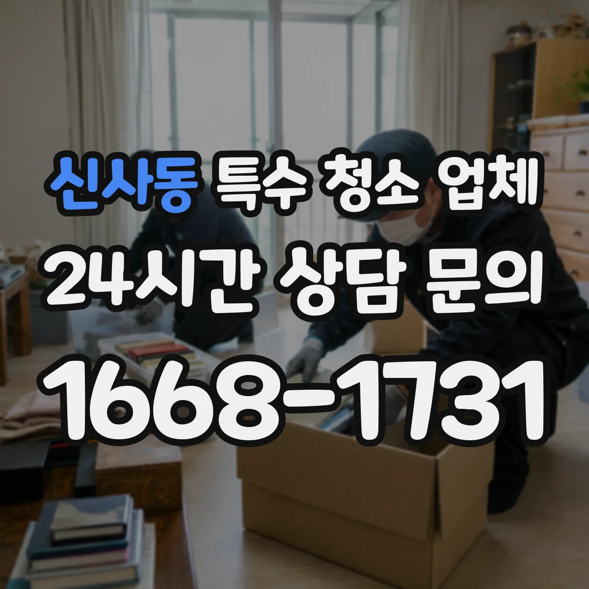 신사동 특수 청소 업체