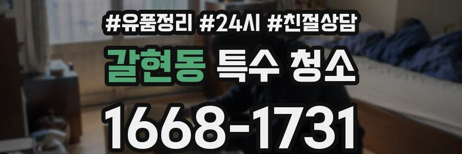 갈현동 특수 청소