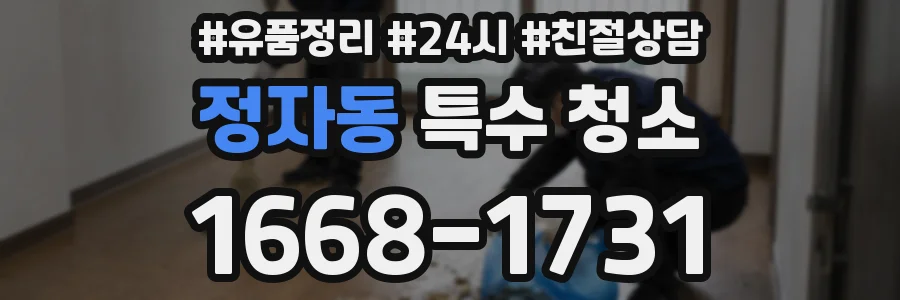 정자동 특수 청소