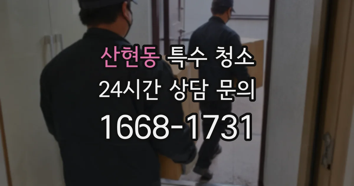 산현동 특수 청소