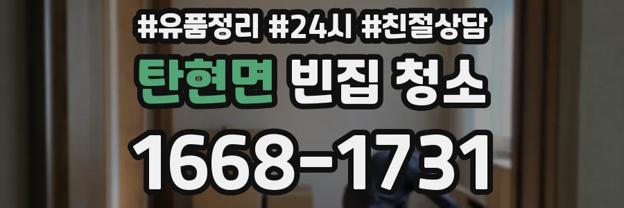 탄현면 빈집 청소