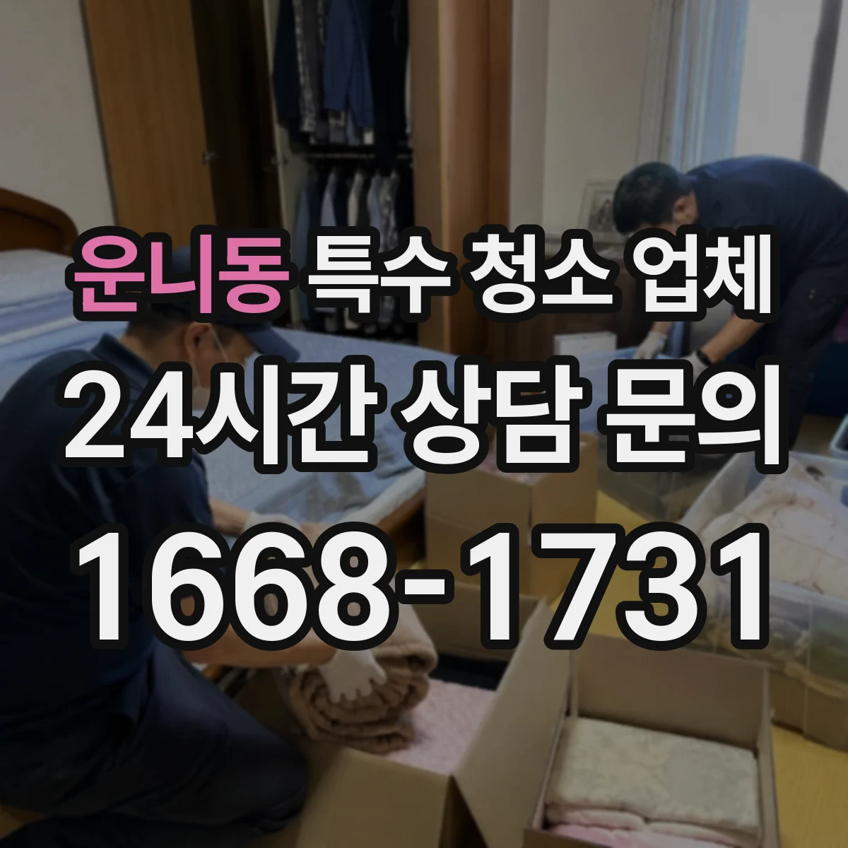 운니동 특수 청소 업체