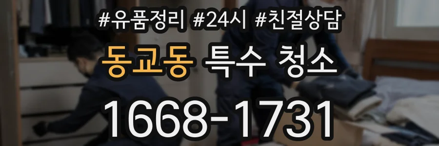 동교동 특수 청소