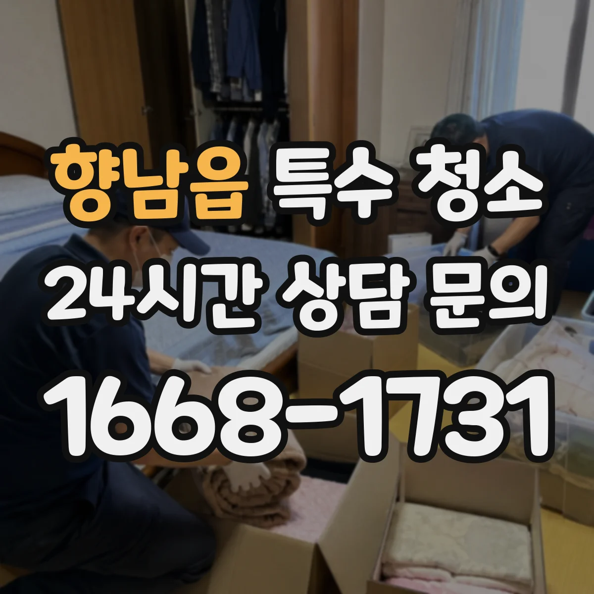 향남읍 특수 청소