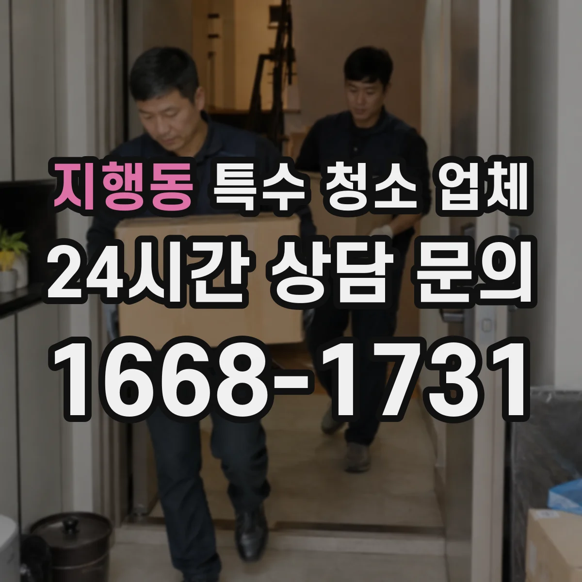지행동 특수 청소 업체