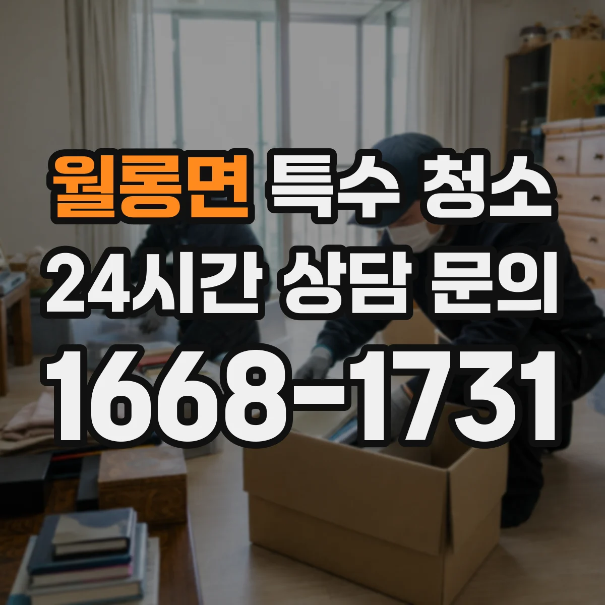 월롱면 특수 청소