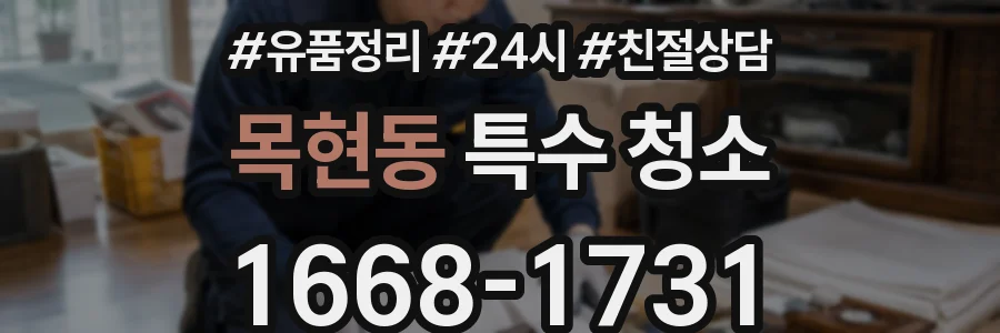 목현동 특수 청소
