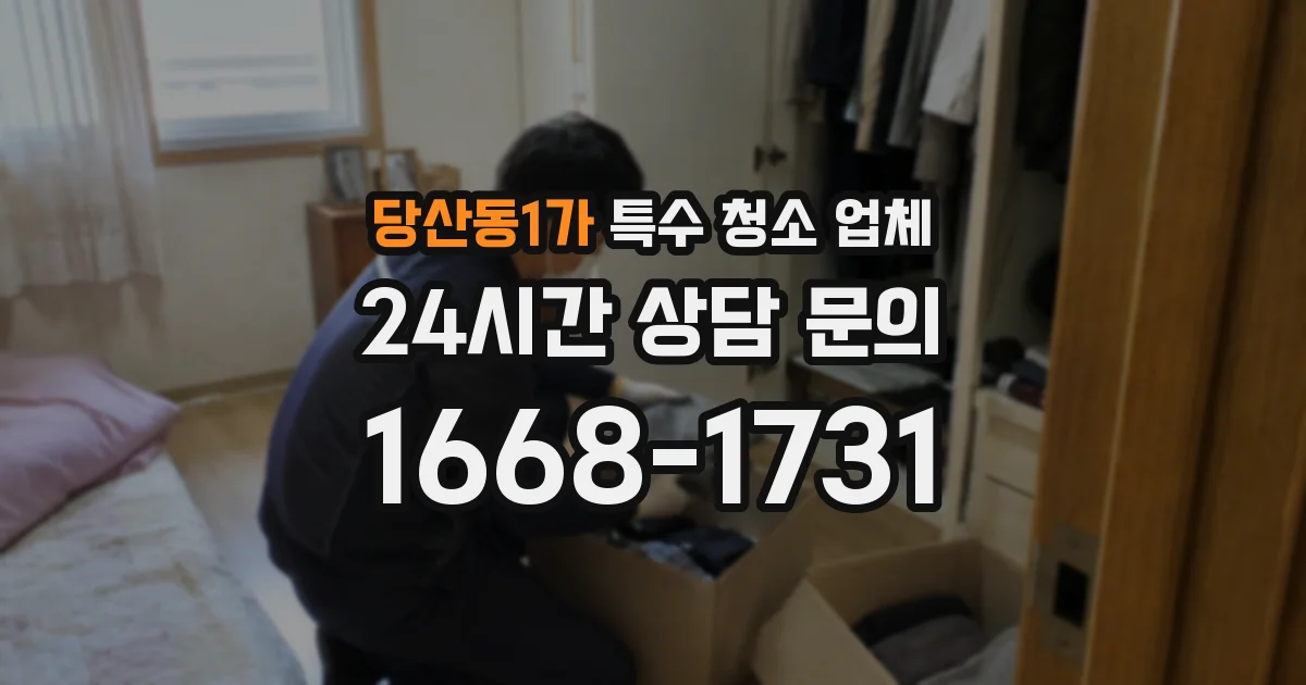 당산동1가 특수 청소 업체