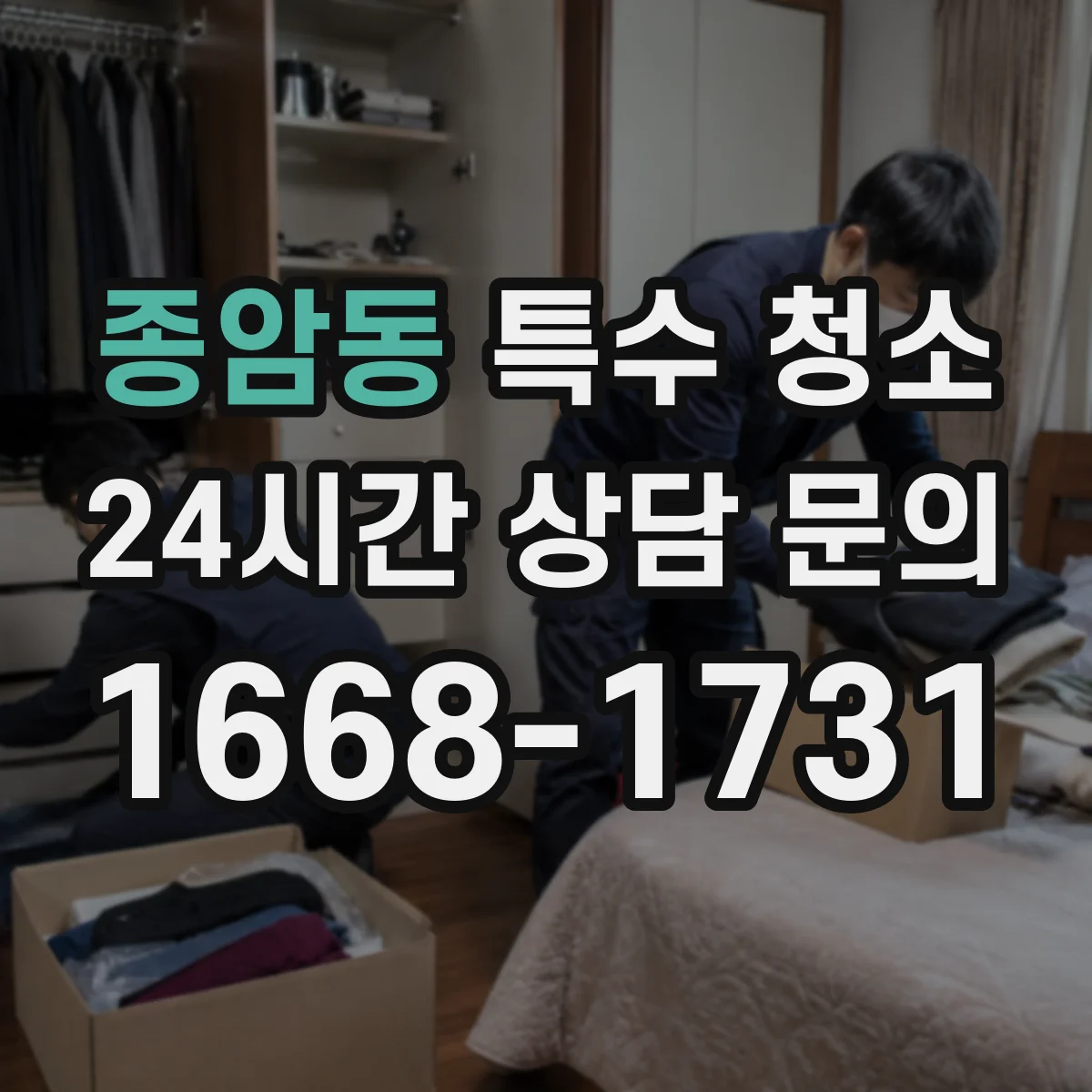종암동 특수 청소