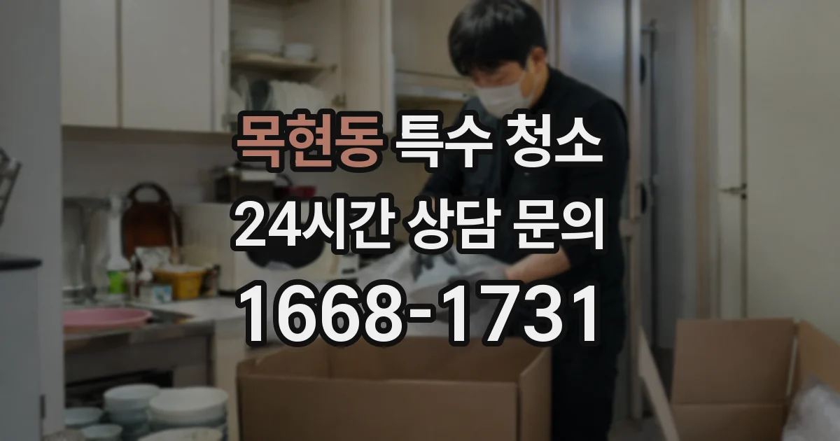 목현동 특수 청소