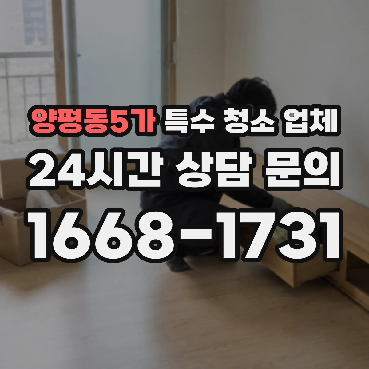 양평동5가 특수 청소 업체