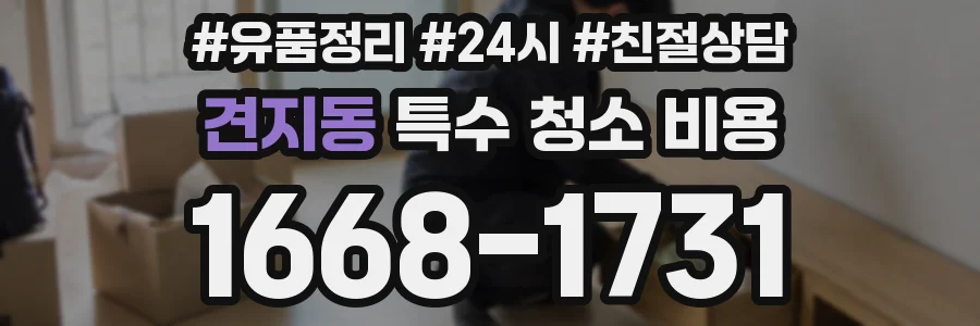견지동 특수 청소 비용