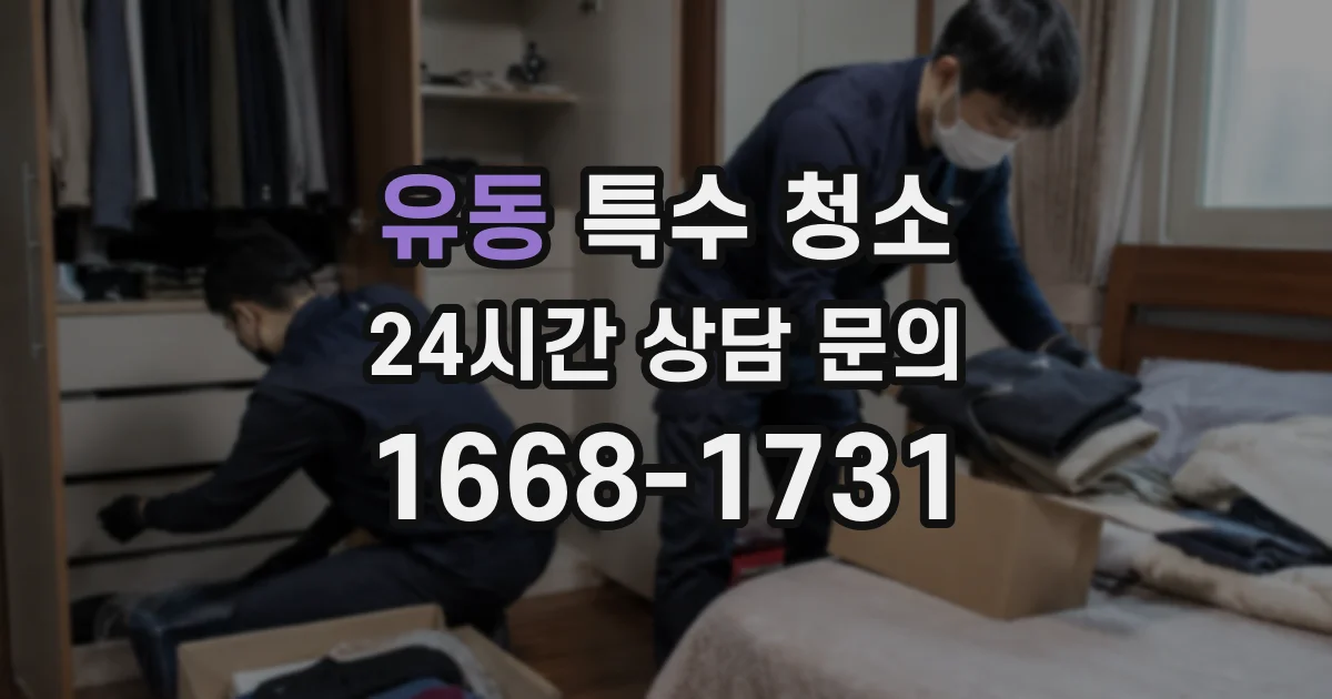 유동 특수 청소