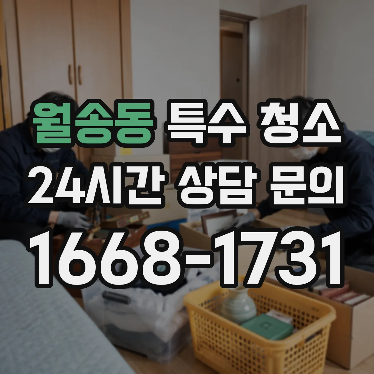 월송동 특수 청소